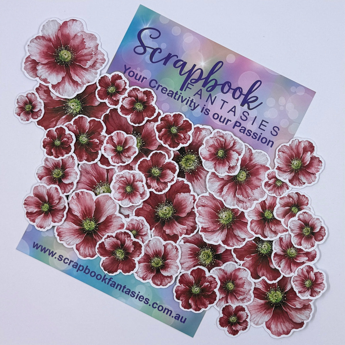 Christmas Crew Colour-Cuts - Flowers (over 35 pieces) 20926