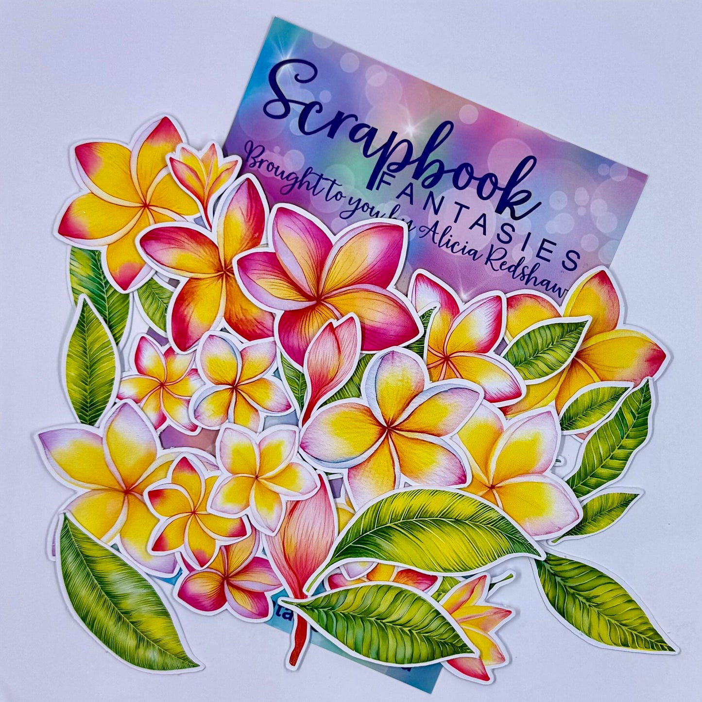 Frangipanis Colour Cuts (34 pieces) 90018