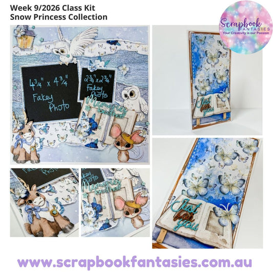 Classes Kit for Week 9/2026 - Snow Princess Collection