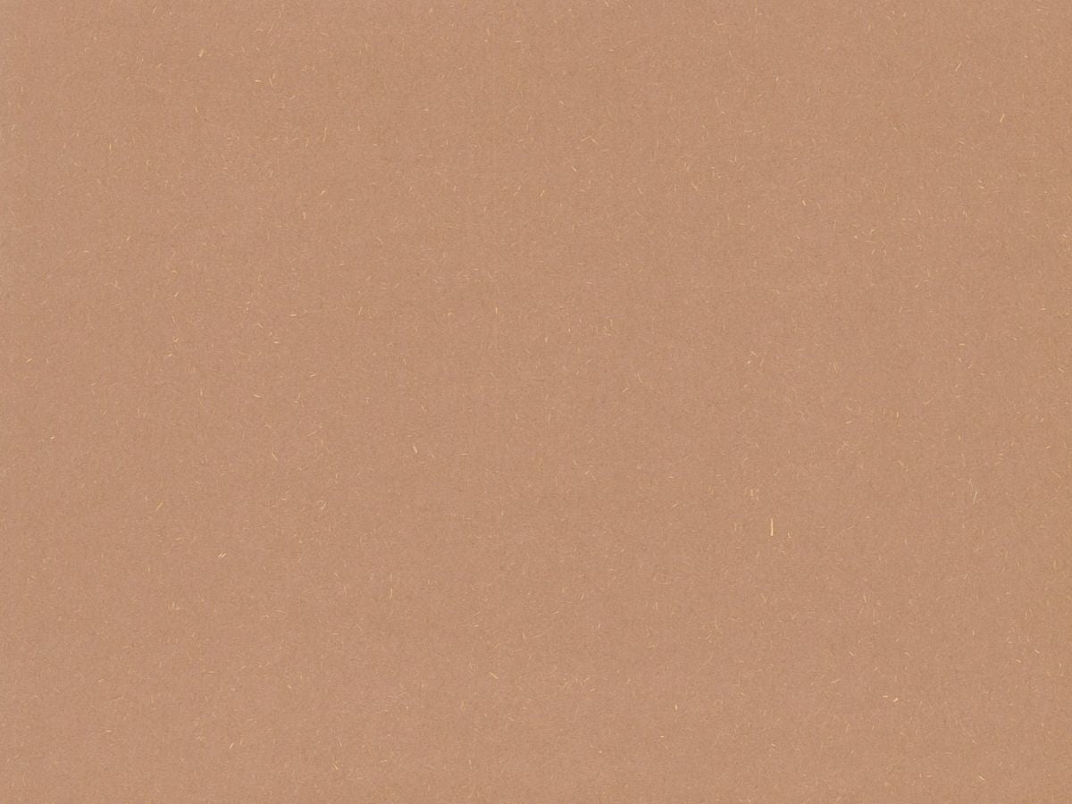 Cardstock 12"x12" Earthy Recycled Cinnamon 209gsm (single sheet) C322504