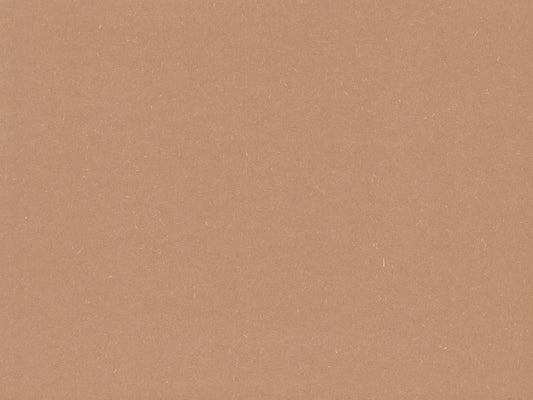 Cardstock 12"x12" Earthy Recycled Cinnamon 209gsm (single sheet) C322504