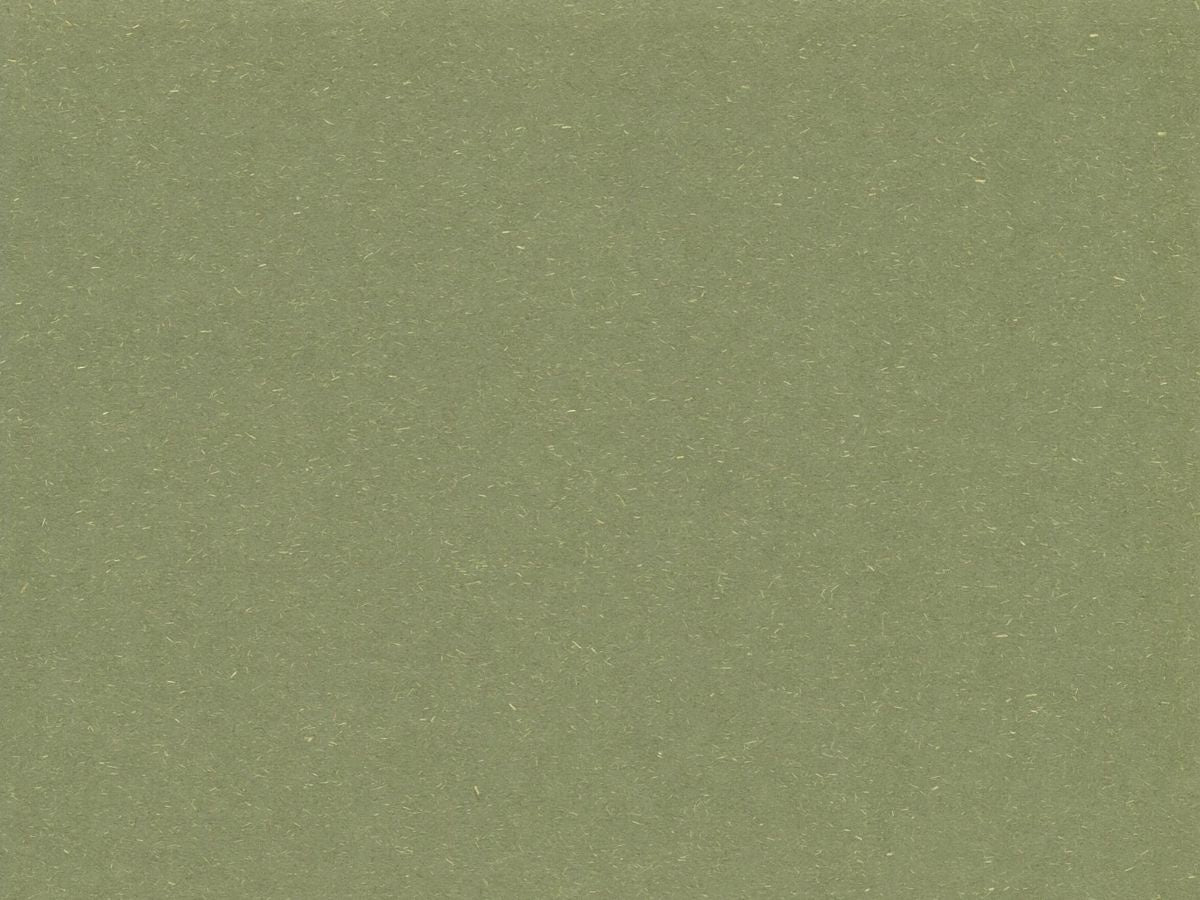 Cardstock 12"x12" Earthy Recycled Parsley 209gsm (single sheet) 322506