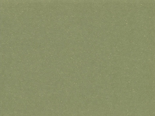 Cardstock 12"x12" Earthy Recycled Parsley 209gsm (single sheet) 322506