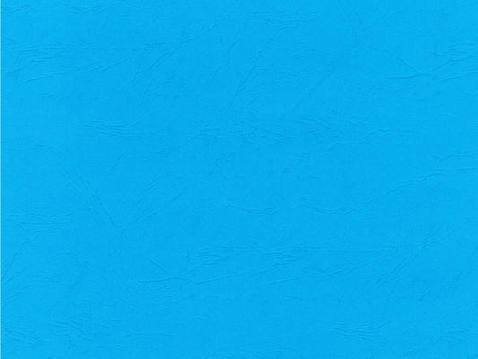 Cardstock 12"x12" Leathergrain Ice Blue 270gsm (single sheet) 306703