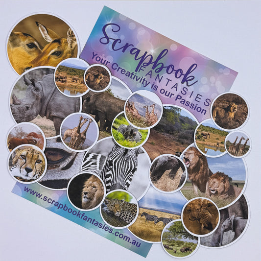 On Safari Colour-Cuts - Photograph Circles (24 pieces) 20870