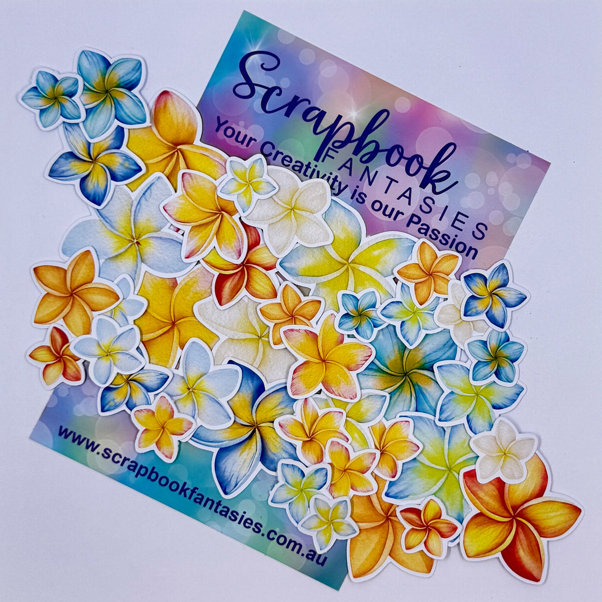 Sunlovin' Colour-Cuts - Frangipanis (over 40 pieces) 20989