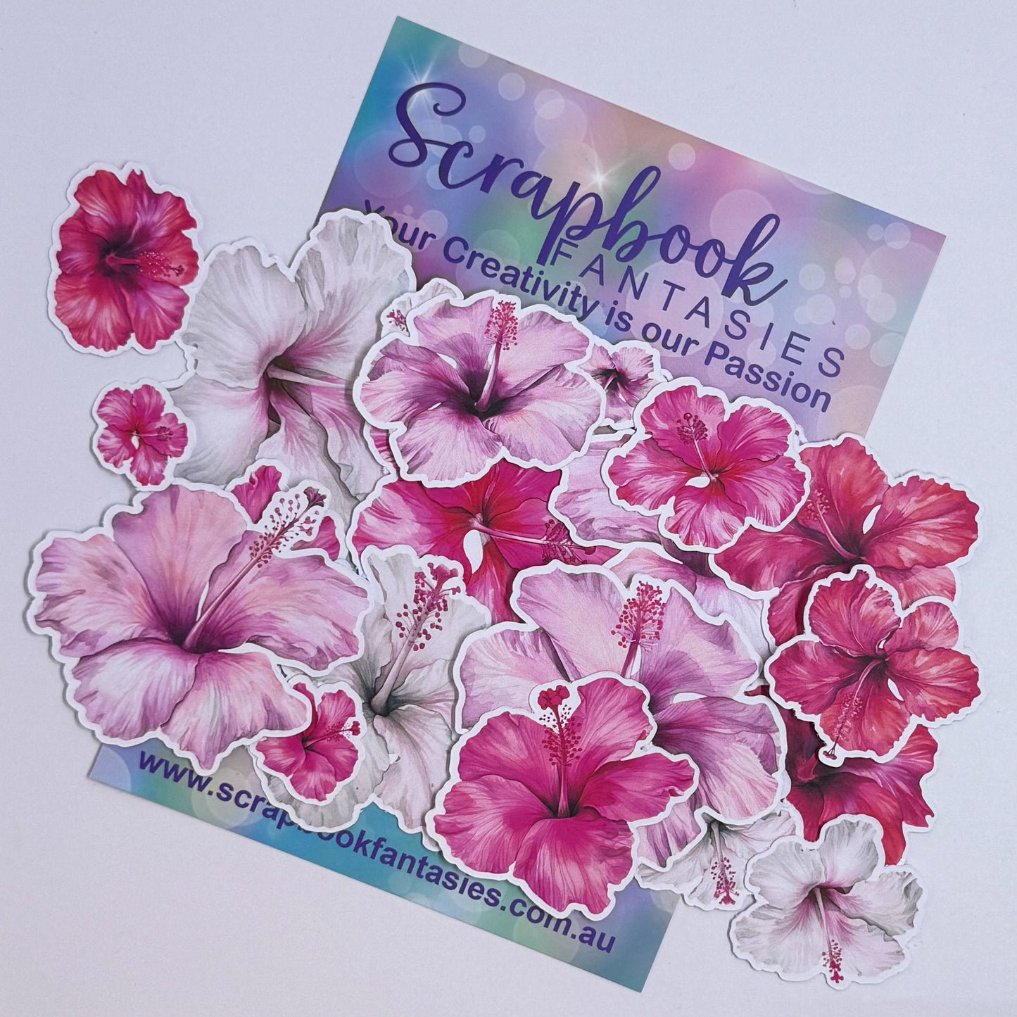 Tropical Colour-Cuts - Hibiscus 5 (21 pieces) 20763