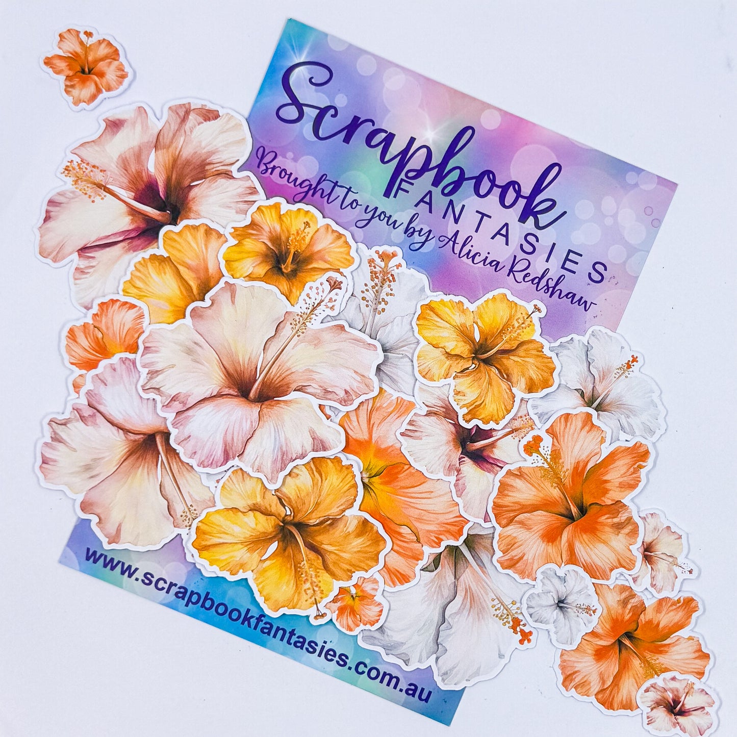 Tropical Colour-Cuts - Hibiscus 6 (21 pieces) 20764