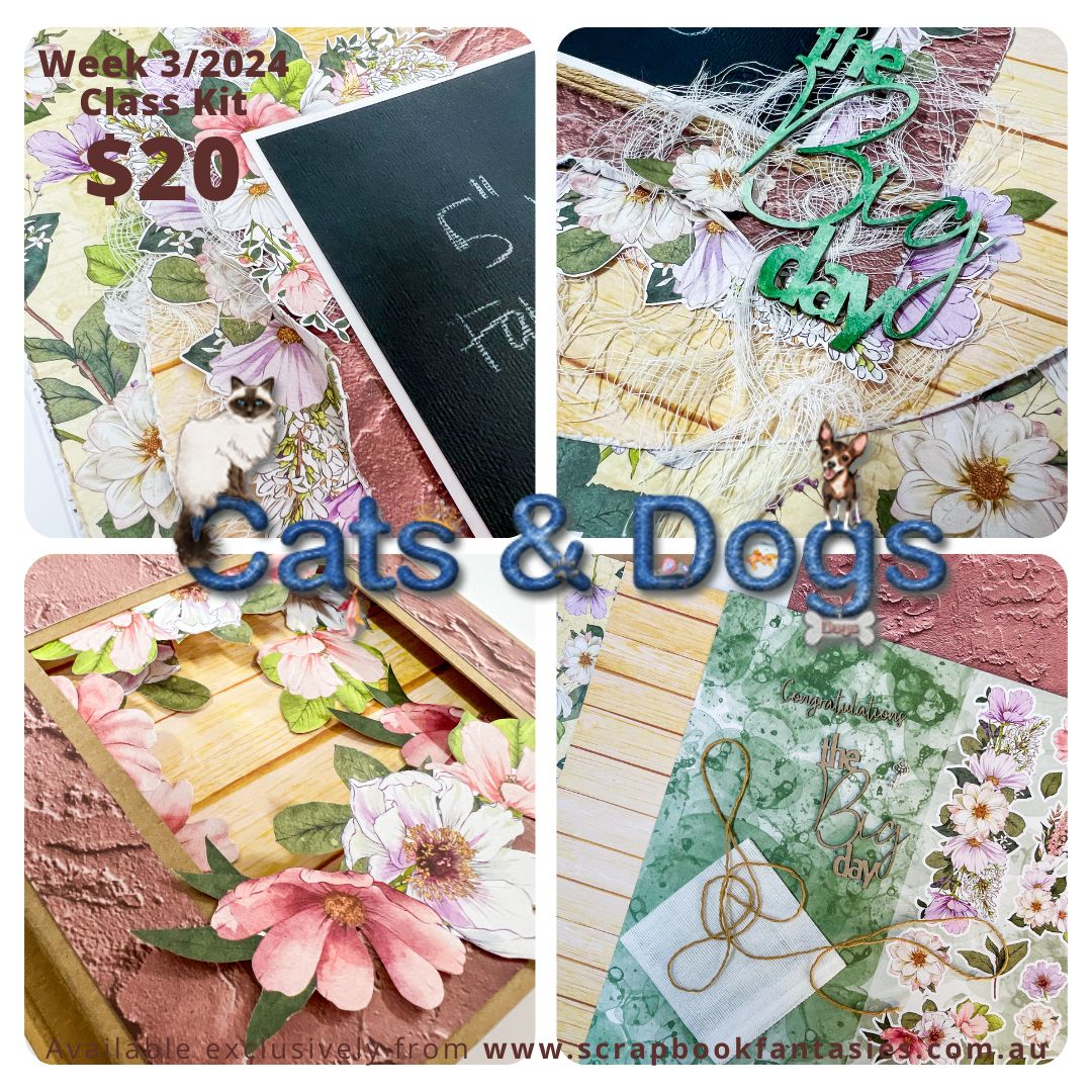 Class Kit for Live Classes Week 3/2024 with Alicia Redshaw (Monday 15 January) - Cats & Dogs