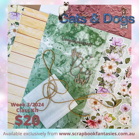 Class Kit for Live Classes Week 3/2024 with Alicia Redshaw (Monday 15 January) - Cats & Dogs